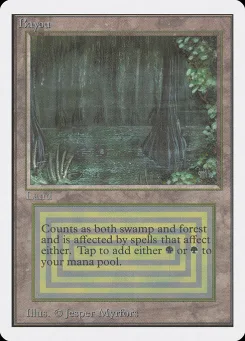 Bayou