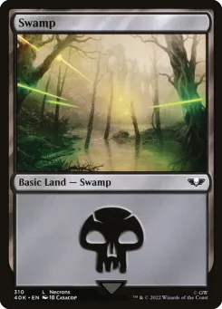 Swamp