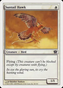 Suntail Hawk