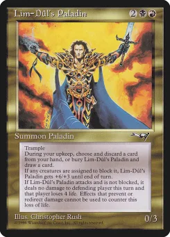 Lim-Dûl's Paladin