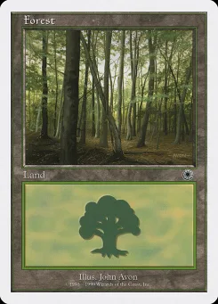 Forest