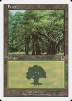Forest