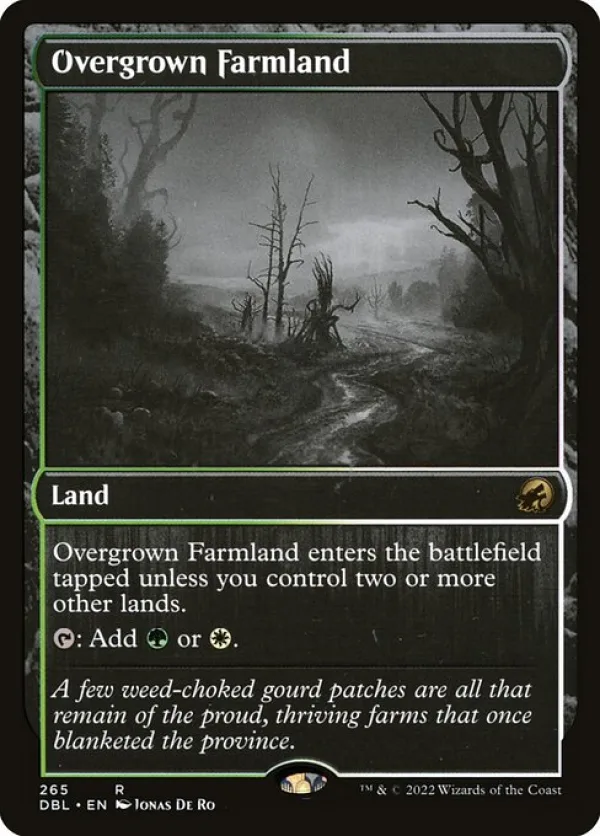 Overgrown Farmland