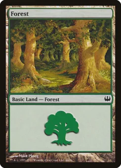 Forest