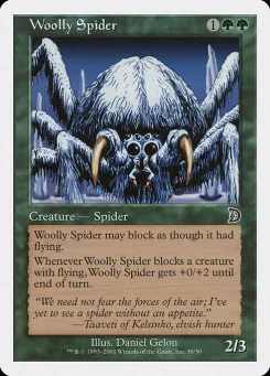 Woolly Spider