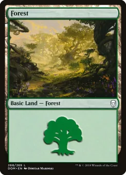 Forest
