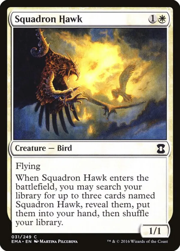 Squadron Hawk