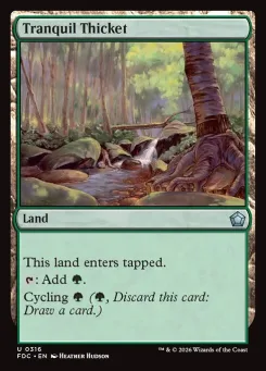 Tranquil Thicket