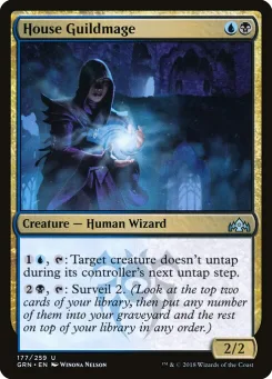 House Guildmage