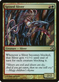 Spined Sliver