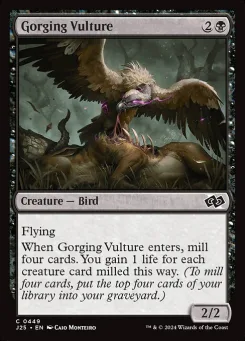 Gorging Vulture