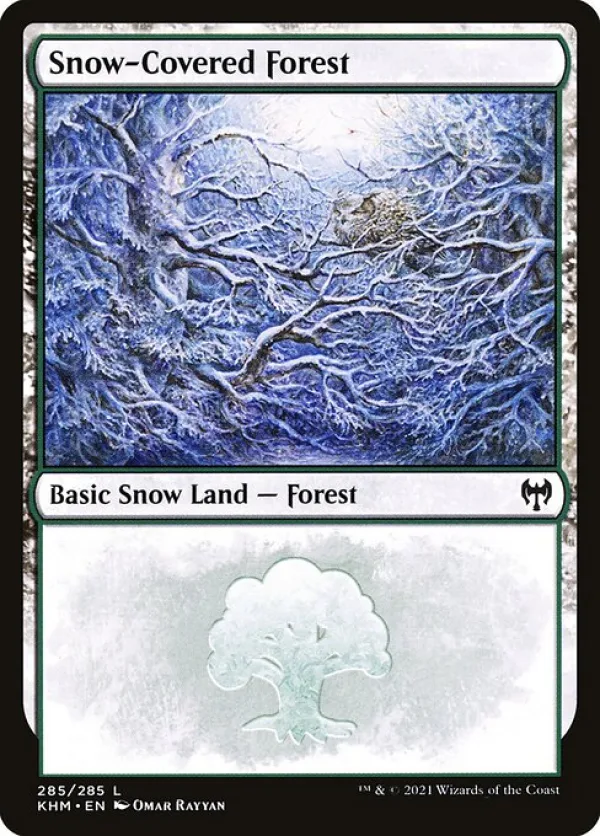 Snow-Covered Forest
