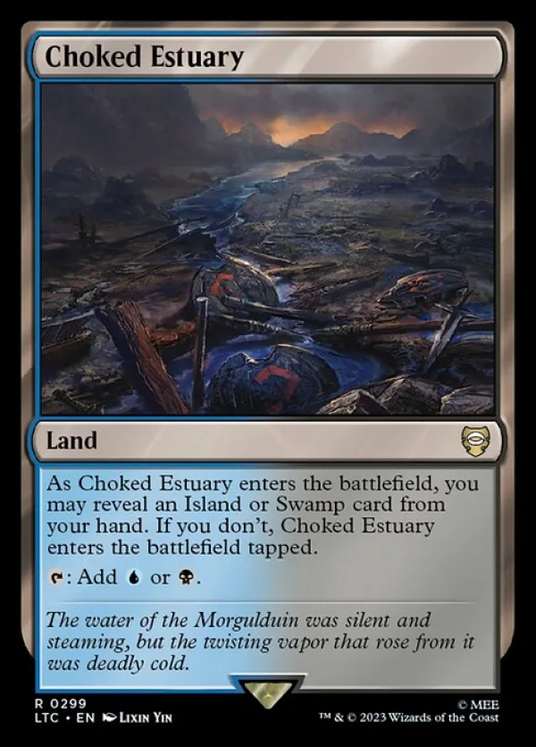 Choked Estuary