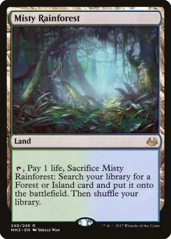 Misty Rainforest