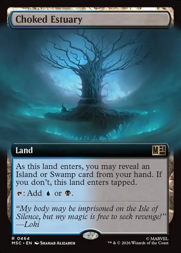 Choked Estuary