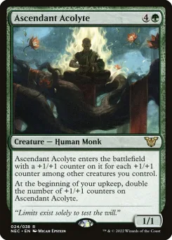 Ascendant Acolyte