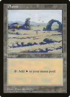Plains