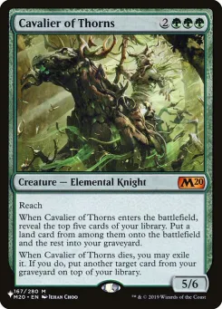 Cavalier of Thorns