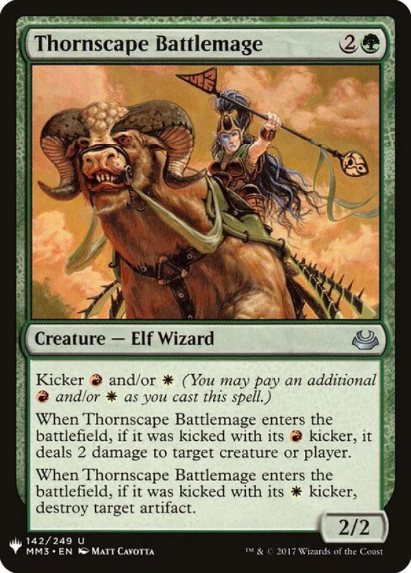 Thornscape Battlemage