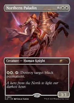 Northern Paladin
