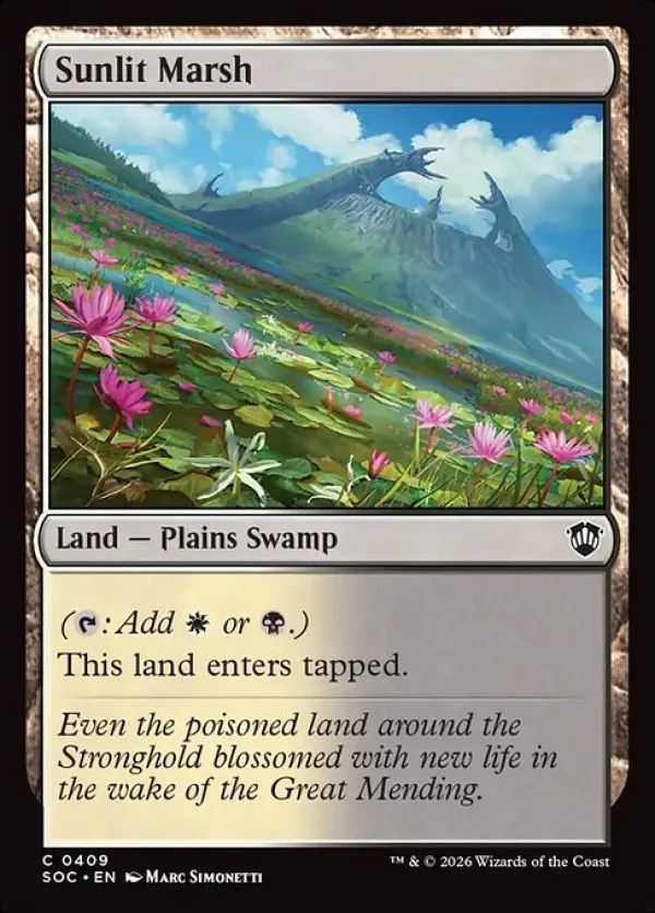 Sunlit Marsh