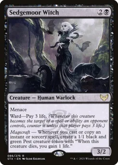Sedgemoor Witch