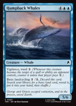 Humpback Whales