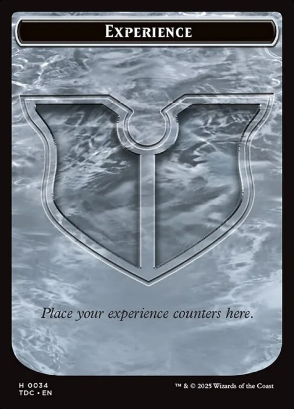 Experience