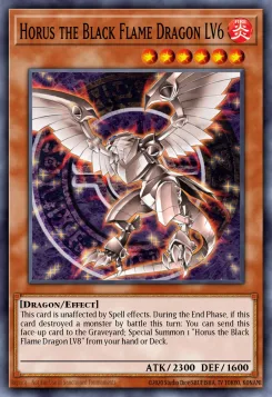 Horus, der Schwarzflammendrache LV6