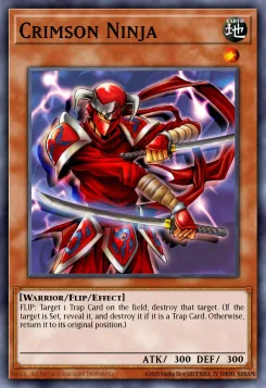 Karmesinroter Ninja