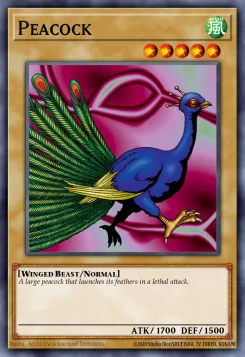 Pfau