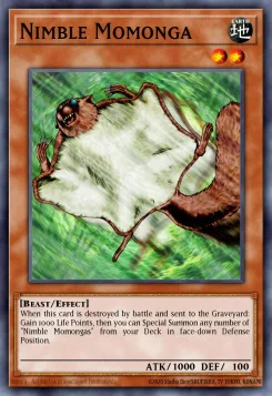 Flinker Momonga