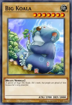Großer Koala