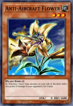 Anti-Flugzeug Blume