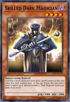 Erfahrener Dunkler Magier