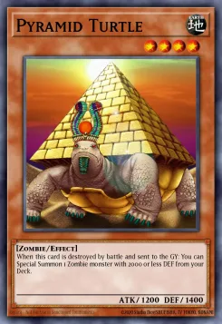 Pyramidenschildkröte