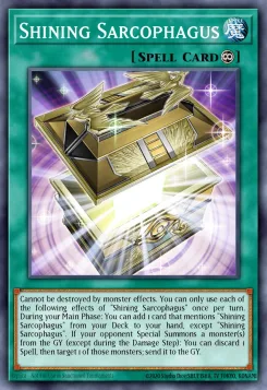 Shining Sarcophagus
