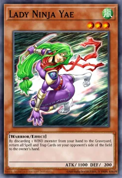 Ninjalady Yae
