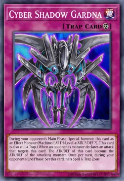 Cyberschatten Gardna