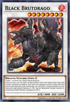 Schwarzer Brutdrago