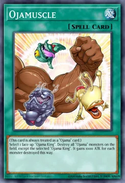 Ojamuskel